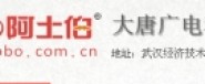 大唐廣電科技武漢有限公司