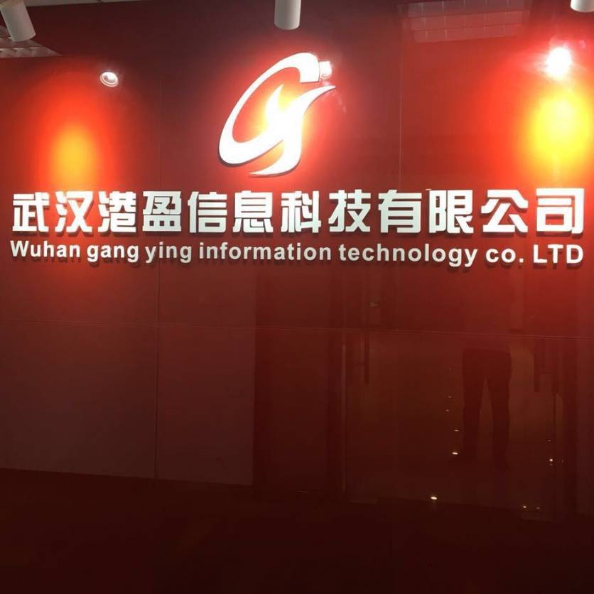 武漢港盈信息科技有限公司