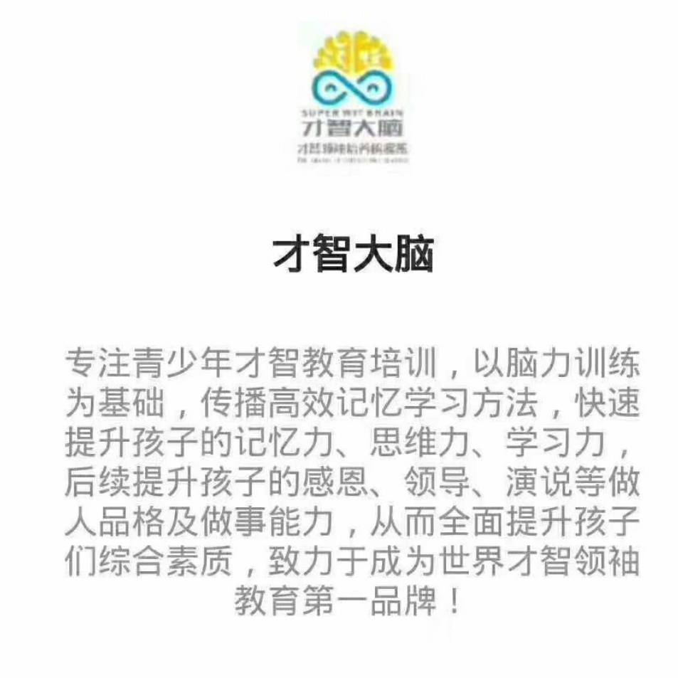 才智大腦