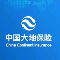 中國大地財產(chǎn)股份有限公司武漢中心支公司